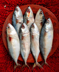 Narkeli fish